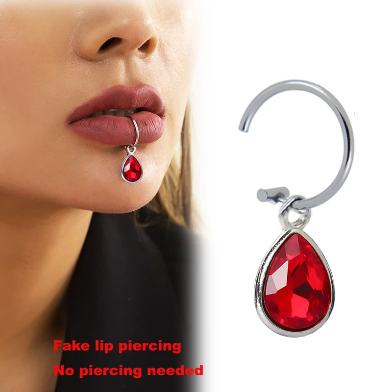 1Pc Gefälschte Piercing Lip Cl – Body Jewelry Lip Ring Bewertung und Preis