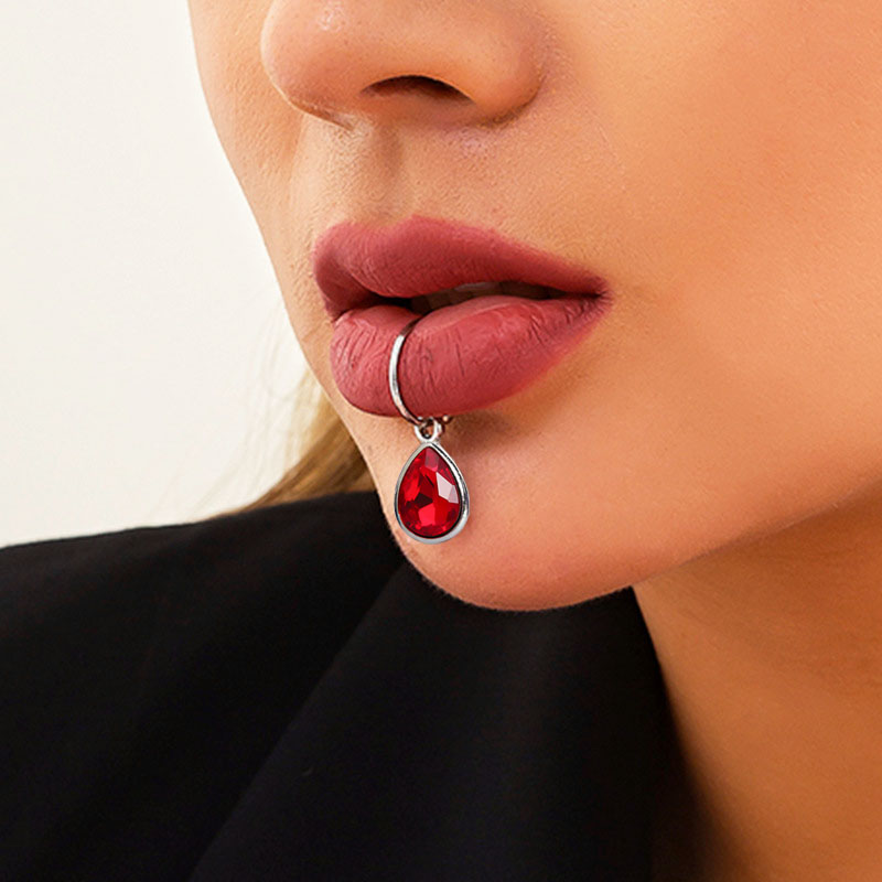 1Pc Gefälschte Piercing Lip Cl – Body Jewelry Lip Ring Bewertung und Preis