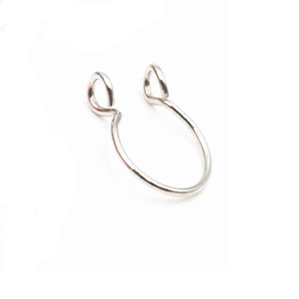 Edelstahl Mini Tragus Helix Kn – Body Jewelry Lip Ring Bewertung und Preis