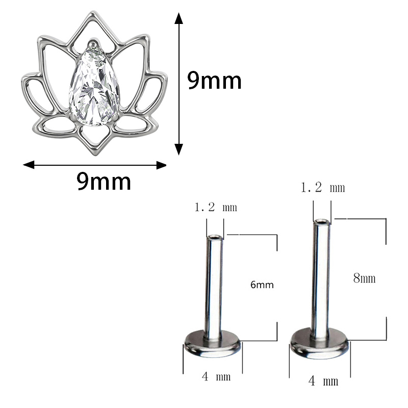 ASTM F136 Titan Ohr PIERC Schm – Body Jewelry Factory Bewertung und Preis